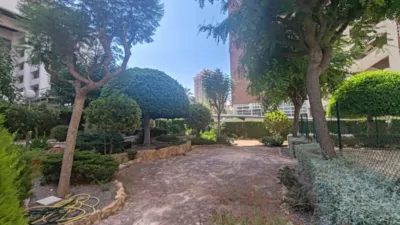 Pis – Benidorm - Més