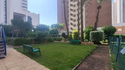 Pis – Benidorm - Vista 5