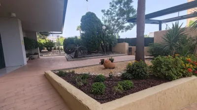 Apartment on Avinguda del Murtal photo 23