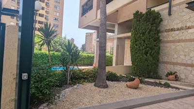 Apartment on Avinguda del Murtal photo 25