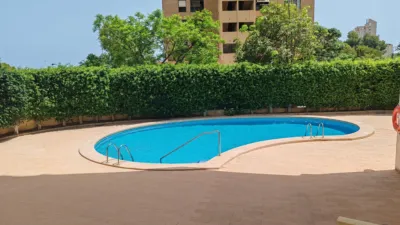 Apartment on Avinguda del Murtal photo 2