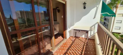 Apartment on Calle del Eucalipto photo 4