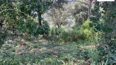 Terreno en venta en Carrer del Pedraforca, 17, Bigues (Bigues i Riells del Fai) de 39.900 €