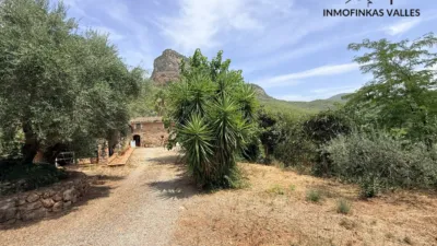 Rustic Finca on Carrer del Camí de Can Quintanes photo 49