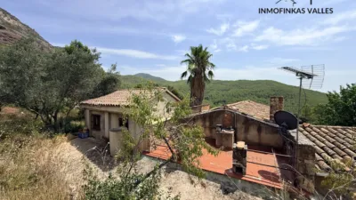 Rustic Finca on Carrer del Camí de Can Quintanes photo 58