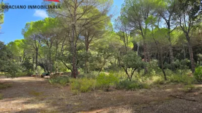 Terreno en venta en Pedanías y Barrios Rurales - Más