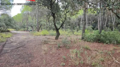 Terreno en venta en Pedanías y Barrios Rurales - Vista 3