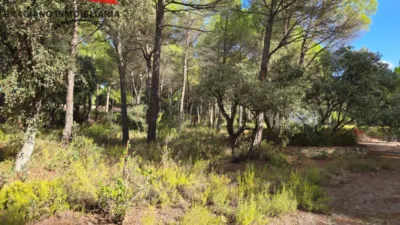 Terreno en venta en Pedanías y Barrios Rurales - Vista 4