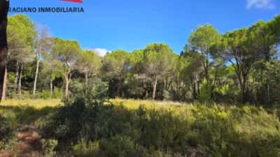 Terreno en venta en Pedanías y Barrios Rurales - Vista 2
