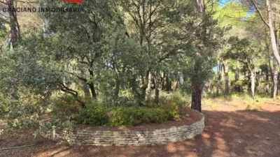 Terreno en venta en Pedanías y Barrios Rurales - Vista 5