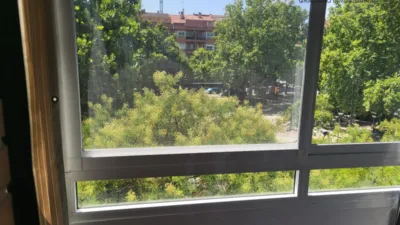 Apartment in El Pilar-San Pablo photo 17