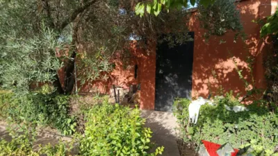 Chalet in Pedanías y Barrios Rurales photo 8