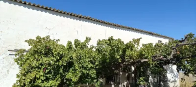 Casa – Albacete, Urbanización Pinares del Júcar - Vista 2