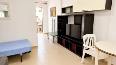 Apartment on Calle Minerva, No. sn photo 4