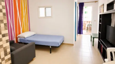 Apartment on Calle Minerva, No. sn photo 6