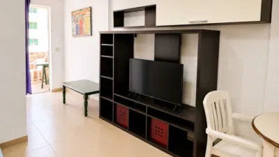 Apartment on Calle Minerva, No. sn photo 3