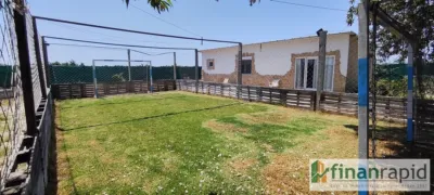 Single-family chalet in Sollana photo 14