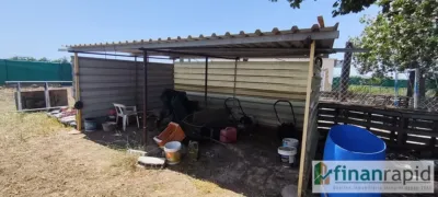 Rustic finca in Sollana photo 20