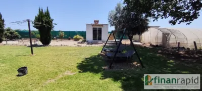 Rustic finca in Sollana photo 5