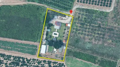 Rustic finca in Sollana photo 29