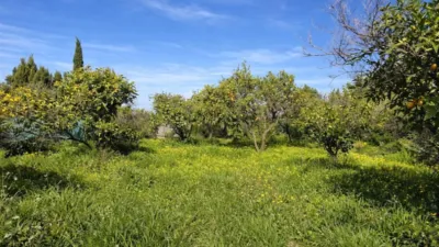 Terreno en venta en Benimeli - Vista 3