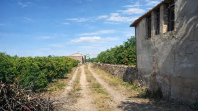 Rustic finca in Pego photo 23
