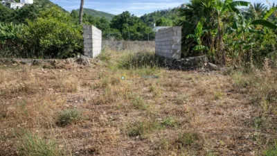 Rustic finca in Pego photo 22