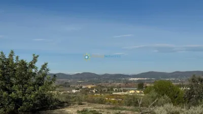 Rustic house in El Palomar photo 23