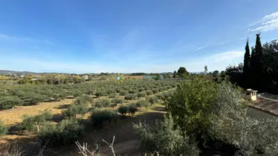 Rustic house in El Palomar photo 19