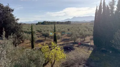 Rustic house in El Palomar photo 22
