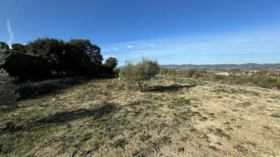 Rustic house in El Palomar photo 21
