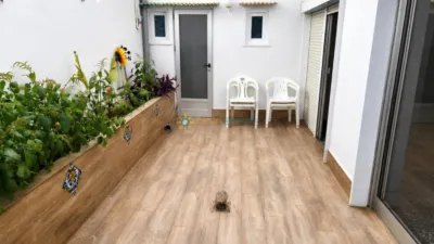 Apartment on Carrer del Governador photo 14
