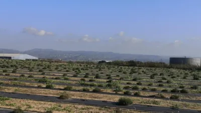 Rustic Finca in Benigànim photo 7
