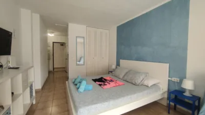 Studio in Avenida de San Francisco photo 4
