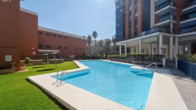 Apartment in Sant Pau photo 48