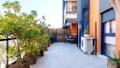 Apartment in Sant Pau photo 24