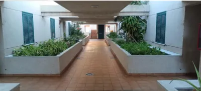 Apartment on Brazil Street photo 2