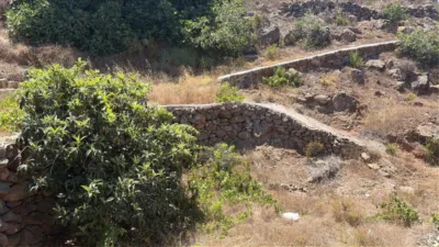 Chalet in Adeje Norte photo 5