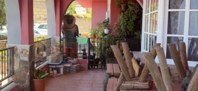 Chalet in Adeje Norte photo 15