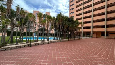 Apartment on Avinguda Mestral photo 17