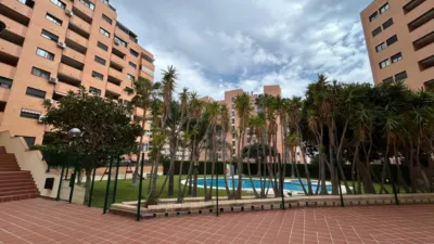 Apartment on Avinguda Mestral photo 4
