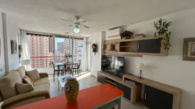 Apartment on Calle de Londres photo 23