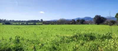 Casa en venta en Inca, Inca de 395.000 €