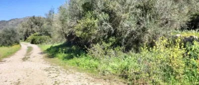 Casa en venta en Inca, Inca de 395.000 €