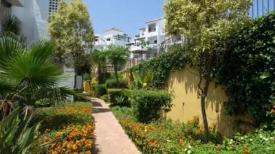 House in San Roque - Vista 5