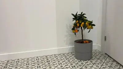 Piso en venta en Carrer de Buenos Aires, Santa Eulàlia (L'Hospitalet de Llobregat) de 209.000 €
