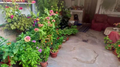 House in La Roda photo 16