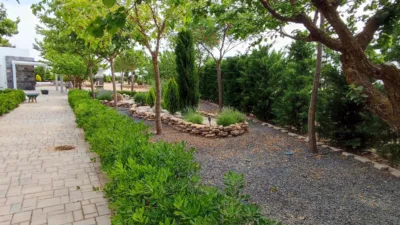 Rustic finca in La Roda photo 10