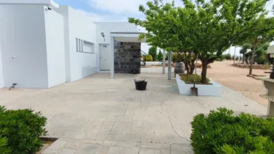 Rustic finca in La Roda photo 14