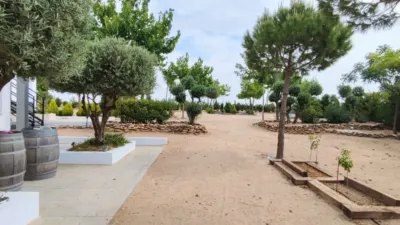Rustic finca in La Roda photo 15
